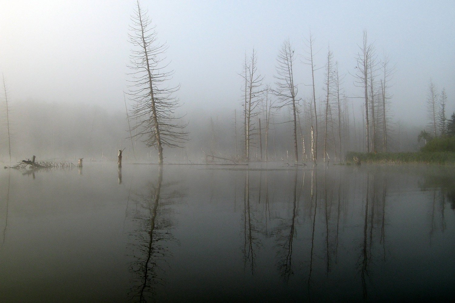 Утро на озере