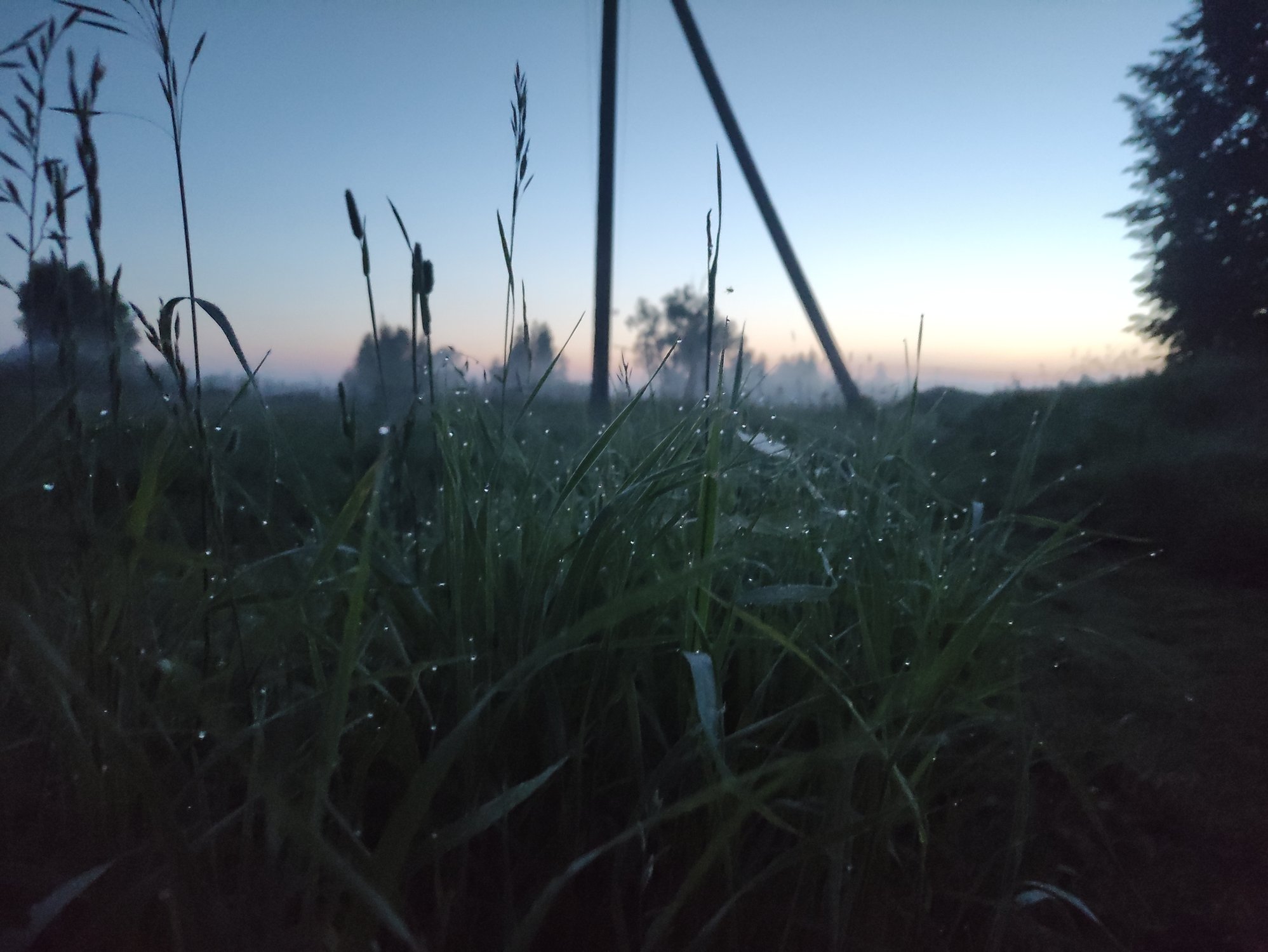 Капли дождя