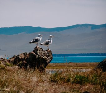 Малое море. Байкал