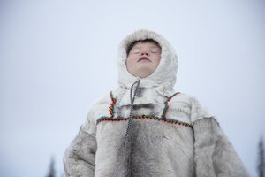 5 необычных языков российской Арктики