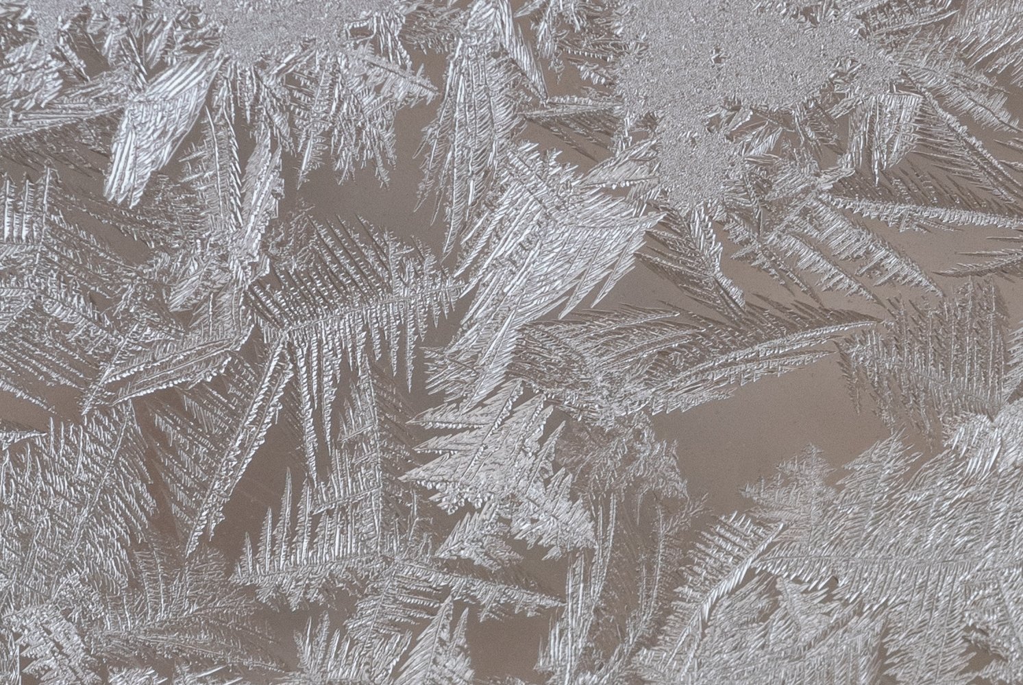 Мороз рисует красивые серебряные узоры на моём окне