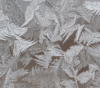 Мороз рисует красивые серебряные узоры на моём окне