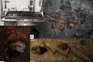 Археологи раскрыли тайну гибели «болотных людей» в Европе