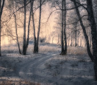 На закате дня