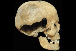 Археологи расследовали жестокое убийство, произошедшее 800 лет назад