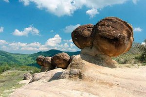 Трованты: загадочные «живые камни» в Румынии растут и двигаются