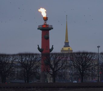 🔥 в честь 80-й годовщины прорыва блокады Ленинграда на Ростральных колоннах зажгли факелы🔥