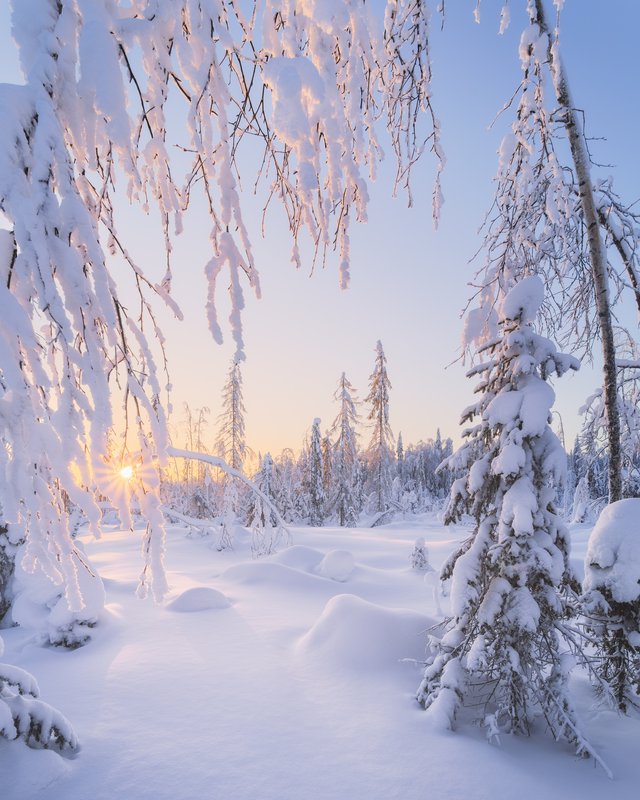 Снегопады в тайге фото