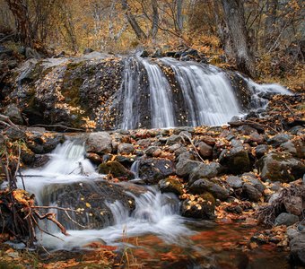 Осень...