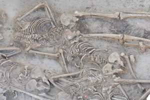 37 человек в братской могиле возрастом 7000 лет были обезглавлены после смерти