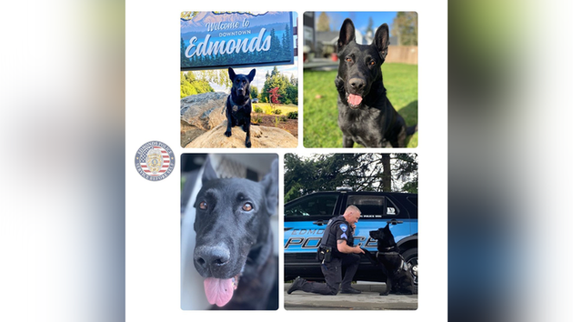 Фото: Edmonds Police Department
