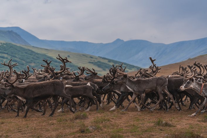 Фото: Александр Мазуров