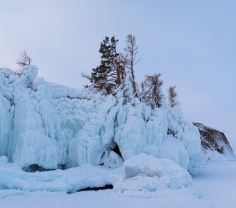 Байкальские деревья покрытые льдом