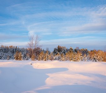 Зимняя картина