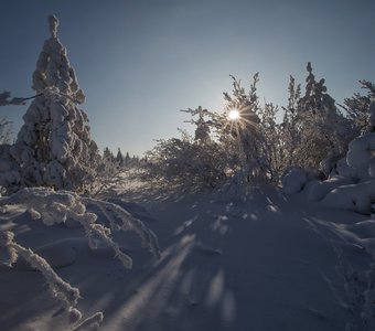 Зима в Якутии