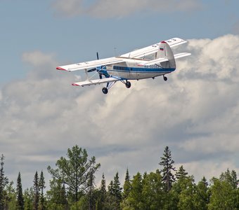 Крылья тайги