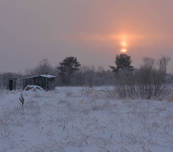 Лесная изба