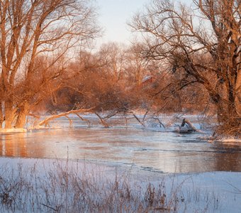 Морозный свет января