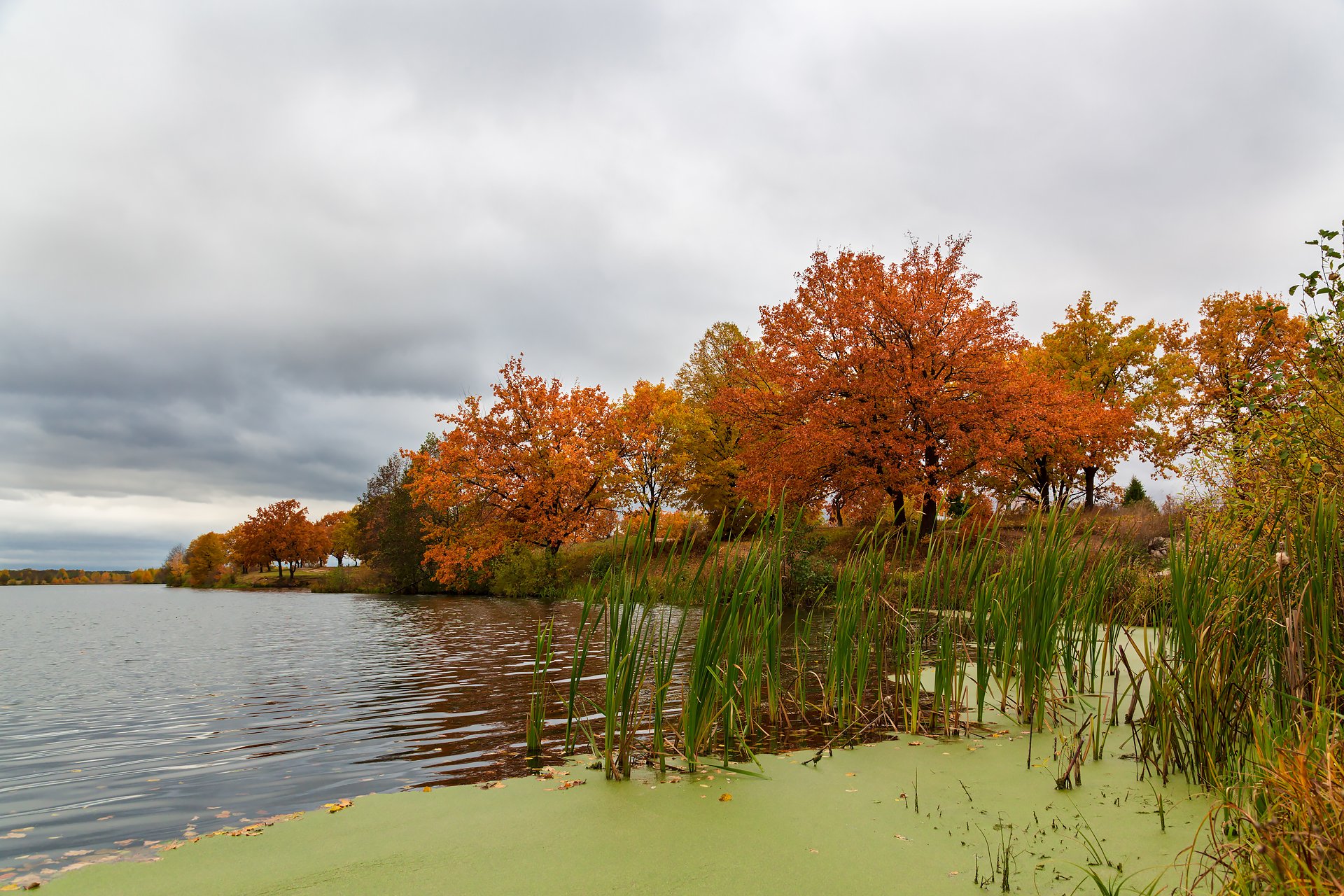 Пасмурный осенний день