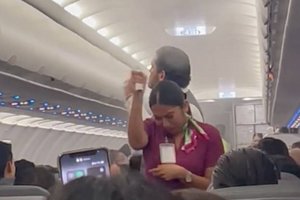 Рой комаров захватил самолет в Мексике и задержал рейс: видео