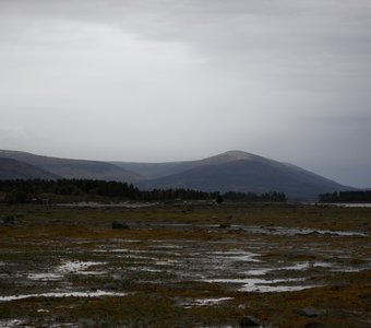 Лувеньга, Мурманская область