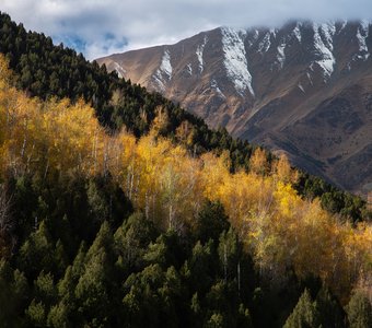 Осенние зарисовки