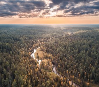 Северная тайга