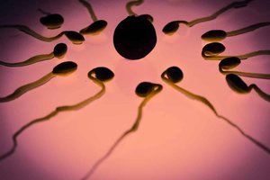 Ученые обнаружили, что сперматозоиды нарушают один из главных законов физики