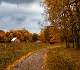 Осень в Борщевке