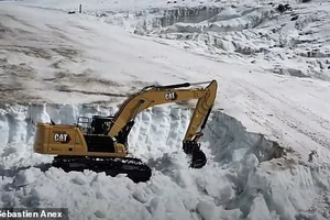 Организаторов Кубка мира по горным лыжам обвинили в краже снега