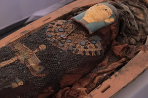 На древнеегипетском кладбище нашли редкие папирусы из «Книги мертвых»