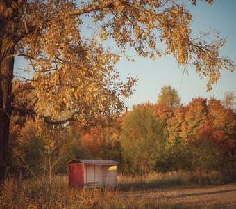 Остановка Осень