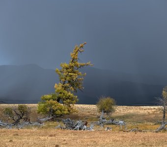 Гроза в сентябре