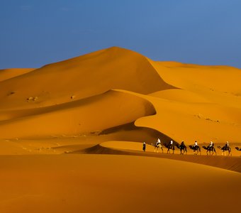 Караван в песках Сахары