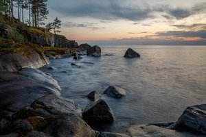 На дне Ладоги обнаружили молоко 1940 года и сделали из него йогурт