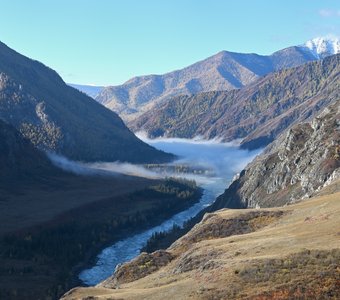 Утренний туман над реками Катунь и Аргут