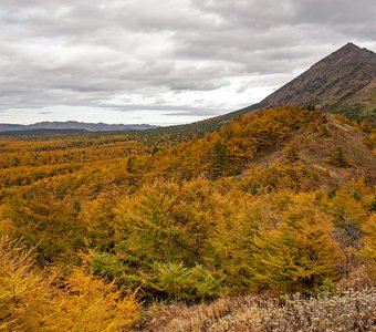 Золотая осень в горах.