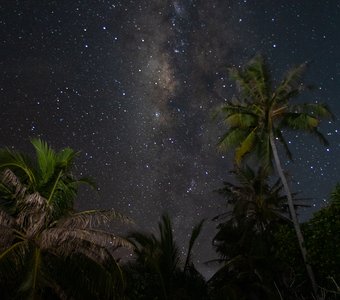 Галактика Мальдив - The Milky Way