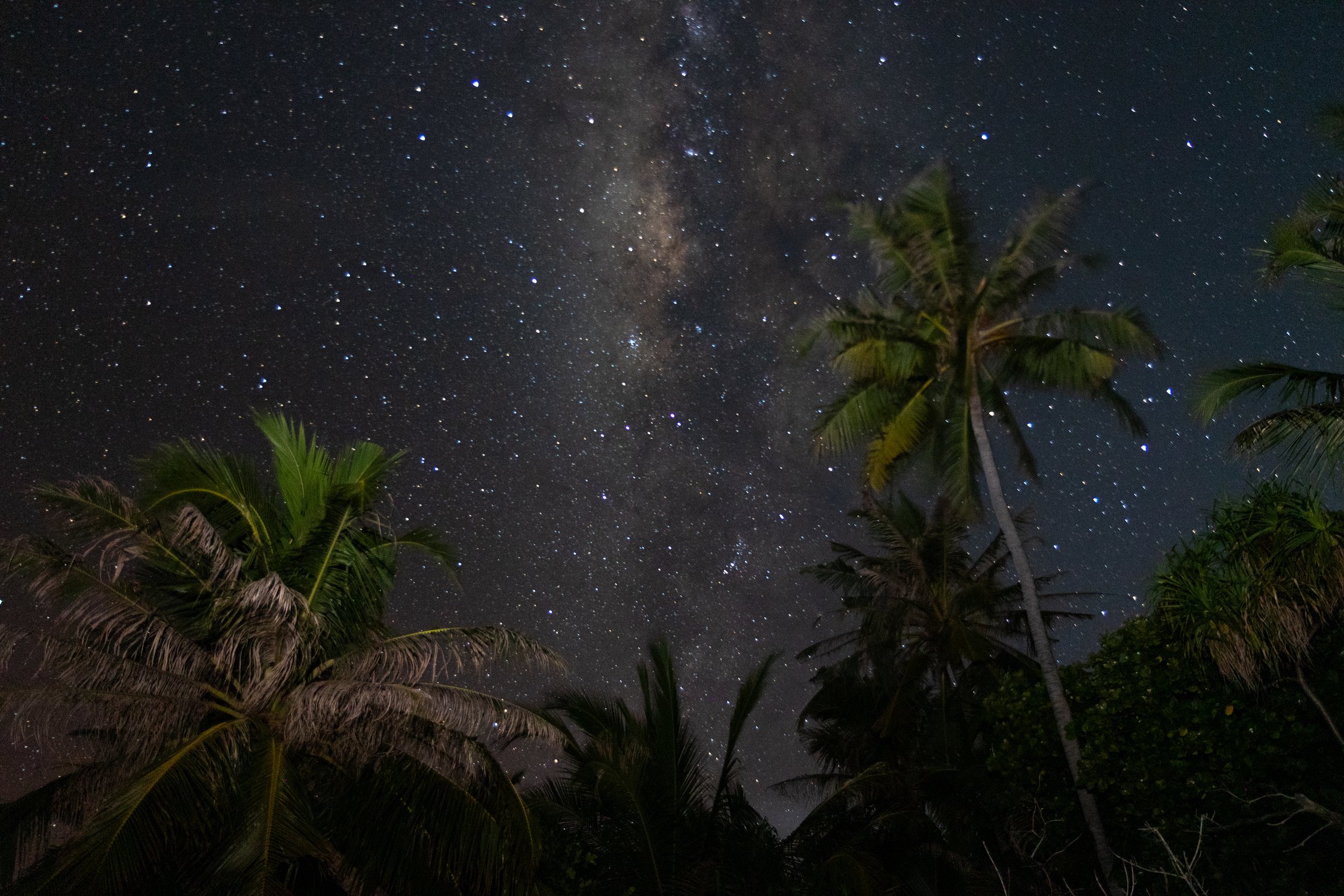 Галактика Мальдив — The Milky Way