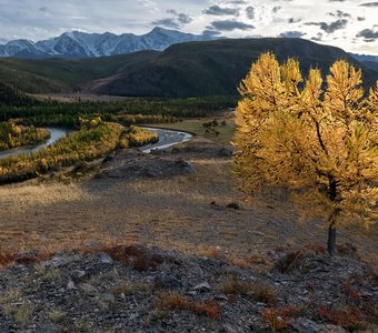 В закатных лучах солнца