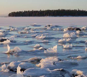 «Ледяные цветы» Белого моря