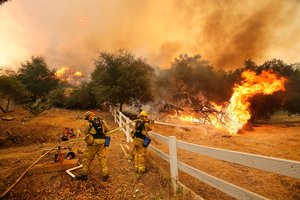 Луговые пожары оказались опаснее, чем лесные