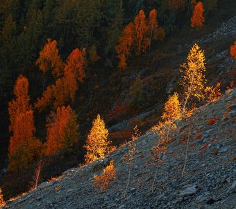 Осень в Горном Алтае