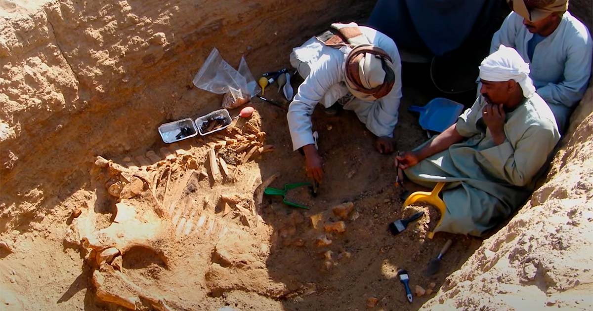 в египте нашли самую