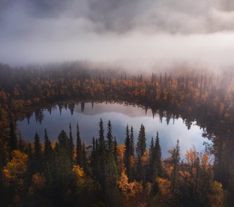 Осень, лес, туман, Хибины