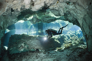 В мексиканских подводных лабиринтах скрывается уникальная экосистема