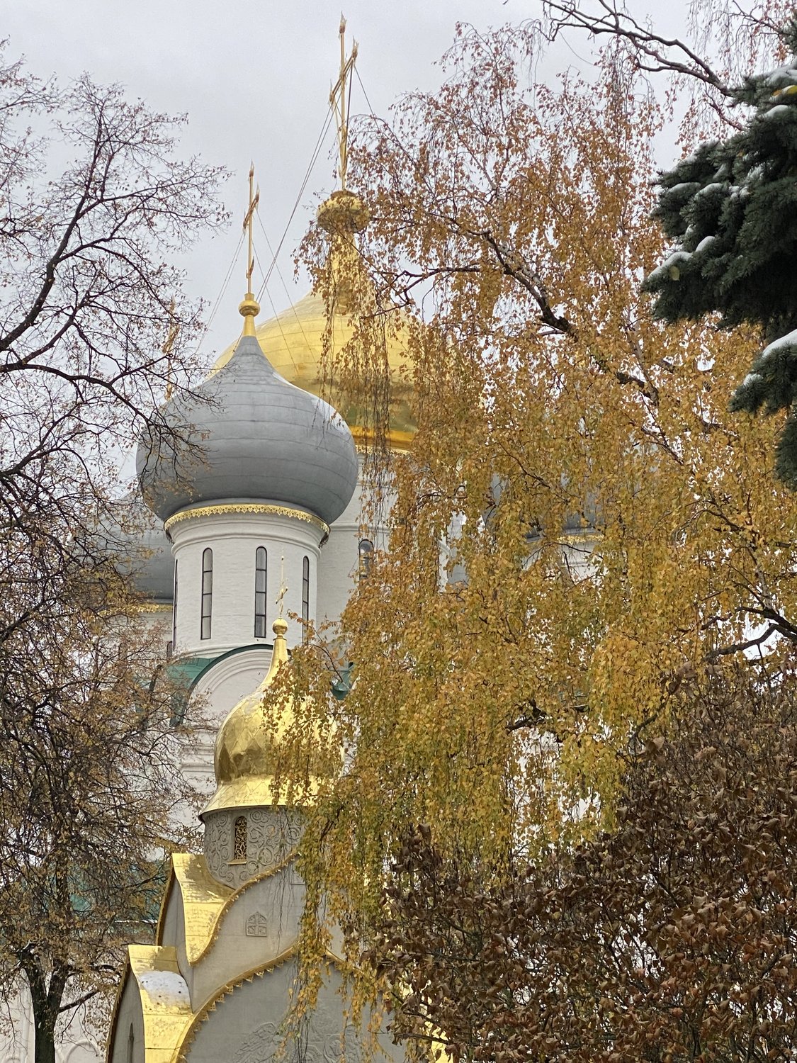 Осень в Новодевичьем
