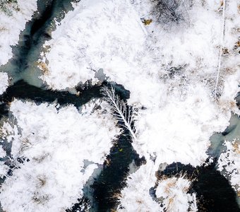 Зима пришла