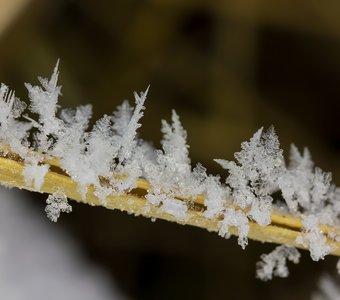 Снег на соломинке