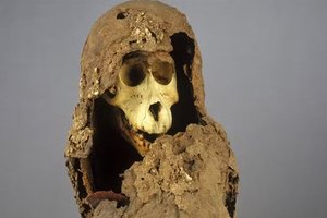 Египетская мумия павиана помогла обнаружить затерянный город